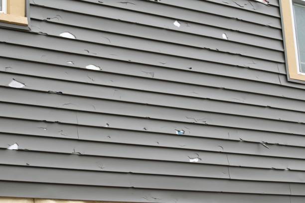 Stanley, WI Siding Installation & Repair Company